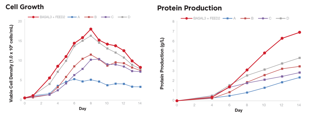 BASAL3 & FEED2培养基共用的CHO细胞产量与生长密度检测 BASAL3 & FEED2培养基共用的CHO细胞产量与生长密度检测