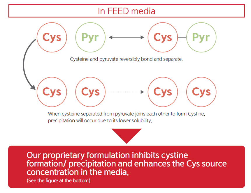 补料氨基酸cys1和cys2机制示意图 补料氨基酸cys1和cys2机制示意图