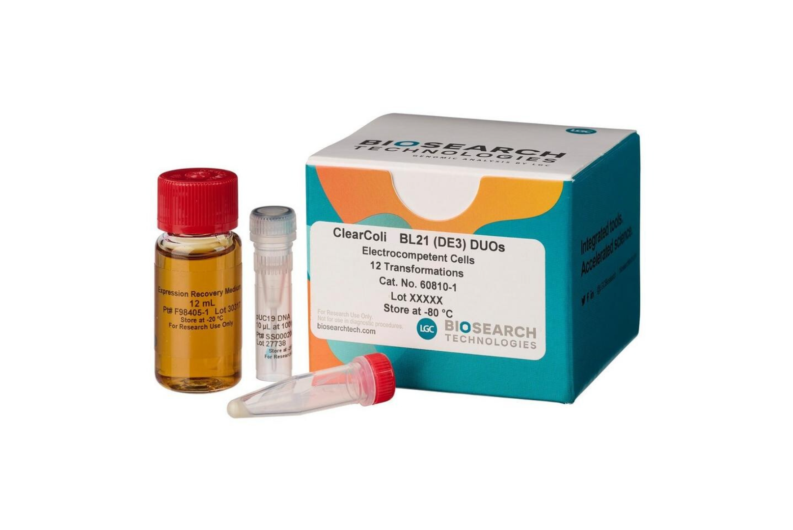 ClearColi BL21（DE3） 电感受态细胞