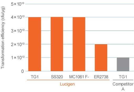 TG1 电转感受态细胞电转率对比