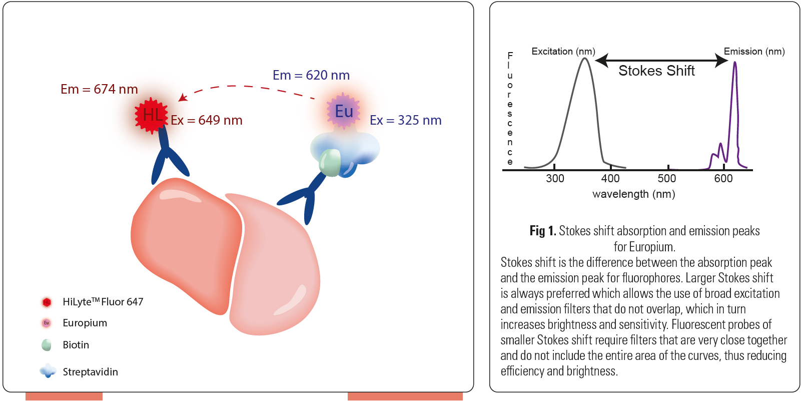储存器改变的吸收峰和排放峰