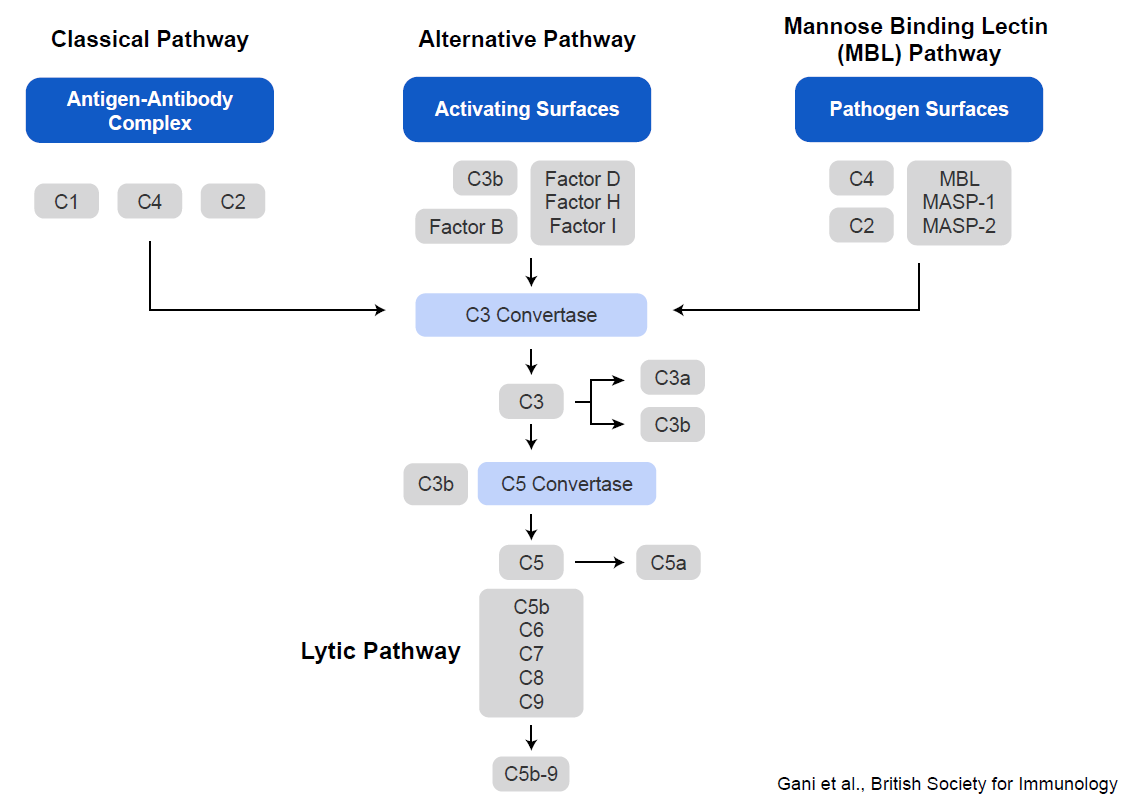 Abova 三大补体系统ELISA解决方案
