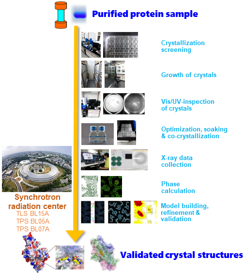 蛋白质X-光结晶学检测 蛋白质X-光结晶学检测