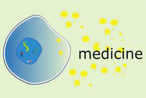 科佰耐药细胞株