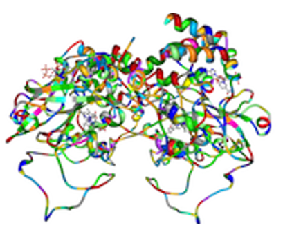 G&P-Biosciences抗体 G&P-Biosciences抗体