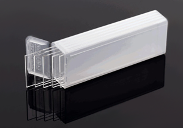 XanTec涂层载玻片