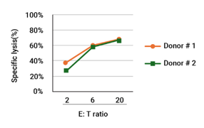 CD13 nanoCAR-T细胞杀伤THP-1肿瘤细胞