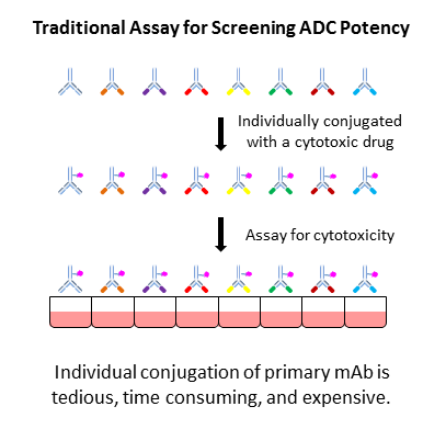 2°ADC可应用于重组蛋白配体以靶向细胞表面受体-1