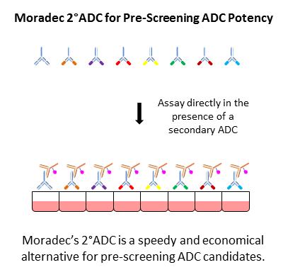 2°ADC可应用于重组蛋白配体以靶向细胞表面受体-2