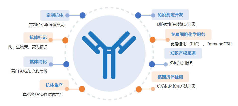 Creative-Diagnostics特色抗体 Creative-Diagnostics特色抗体